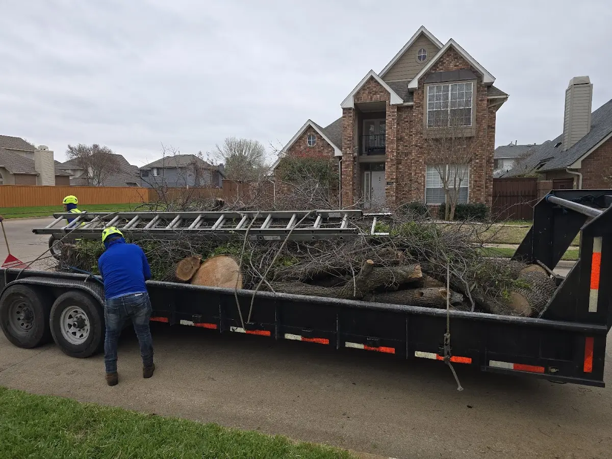 Expert Tree Fertilization with proper safety equipment in Staunton